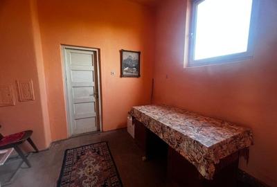 Spatiu pentru dispensar medical-veterinar si locuinta de serviciu cu teren mare - 17