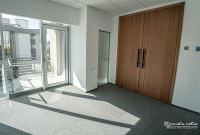 Birouri 216 mp Brancusi - 8