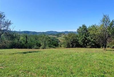 Teren intravilan 8757 mp cu potential turistic si acces direct la E79 - 9