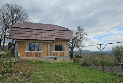 Vanzare casa pensiune P+M Vanzare casa pensiune P+M - 5