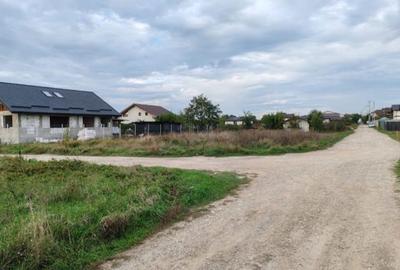 Spațiu comercial, în Mogoșoaia