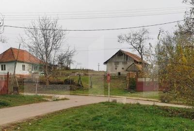 Investitie ! Casa individuala 1 camera, 51 mp, 3000 mp teren, Geaca ! - 2