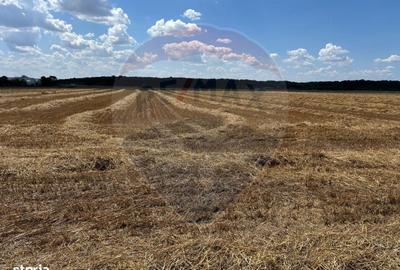 Spațiu comercial, în Izvorani - 5