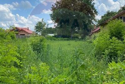 Teren Intravilan de Vanzare suprafata 1470 mp - Soseaua Gruiu-Snagov - 3