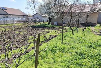 Casă cu Teren 1600 Mp în Ciocârlia - 3