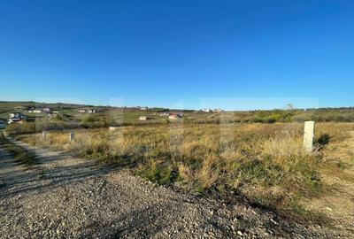 Teren de 630 mp, în Săldăbagiu de Munte - 2