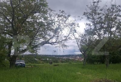 Teren de 2691 mp, în Turda - 9