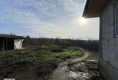 Casă cu 4 camere cu Teren 1600 Mp în Izvoarele - 6