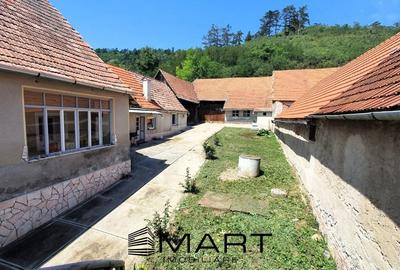 Casa 150 mp cu teren 1360mp Seica Mare