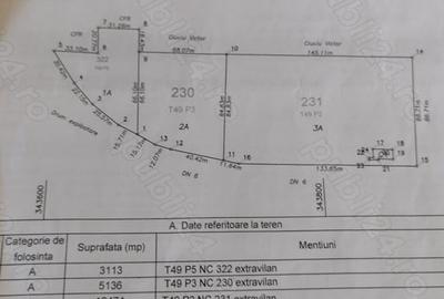 Teren de 20000 mp, în Valea Ursului (Tâmna) - 9