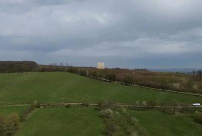 Teren de 5800 mp, în Mitocași - 6