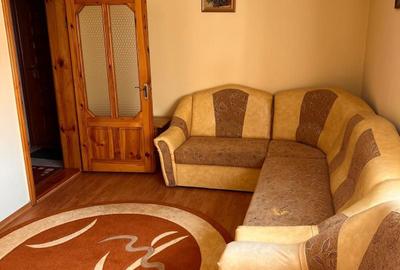 Apartament cu 2 camere în Coman - 2