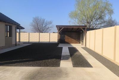 Casă cu 3 camere în Sânmihaiu Român - 4