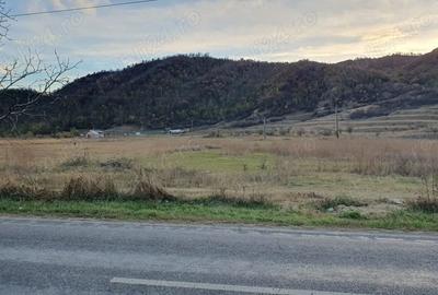 Teren intravilan de 10000 mp, în Cândești - 6