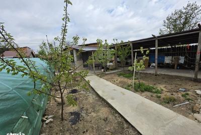 Spațiu comercial, în Petricani - 8