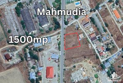 Teren Construcții intravilan de 1500 mp, în Mahmudia - 1