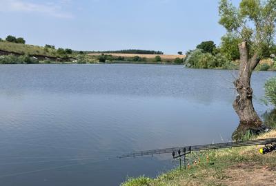 Casă parter + mansardă, 115 mp, teren 2000 mp – lângă Lacul Mostiștea - 14