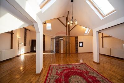 Vila de vanzare D+P+M in zona Muncii - 12