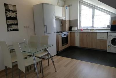 Apartament cu 3 camere semidecomandat, mobilat în Turnișor - 16
