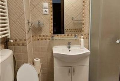 Garsonieră decomandată, mobilată în Podul de Fier - 7