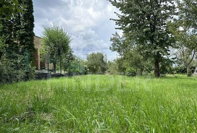 Teren 1000 mp cu Autorizație Construcție  - Făget, zona superba - 13