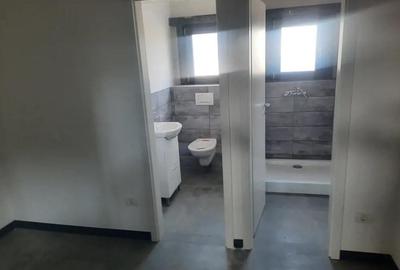 Hala noua de inchiriat, Zona Aeroport - 2