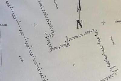 Teren de 10000 mp, în Neagra - 1