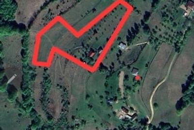 Casă locuibilă + teren 8900 mp, utilități, anexă, livadă-toate actele. - 1