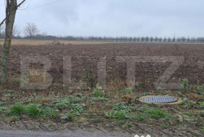 Teren de 2500 mp, în Sud - 3