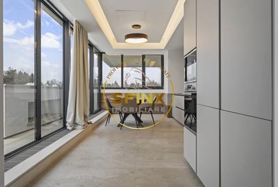 Kiseleff, 4 room penthouse with roof terrace, panoramic view, pet friendly - 3