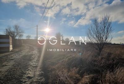 Oportunitate! Teren 8000 mp,parcelat ,cu PUZ ,Daia Noua, acces Dj 106 - 6
