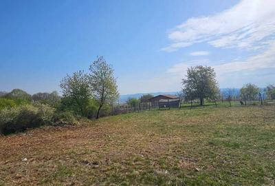 Casă în Central - 4