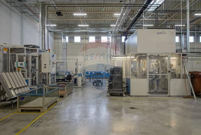 Hală industrială 5.000–12.000 mp de închiriat, Ghimbav - 20