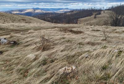 19,5 Ha  TEREN PEISAJ PANORAMIC SPECTACULOS zona turistica montana BULZ -  BIHOR - 33