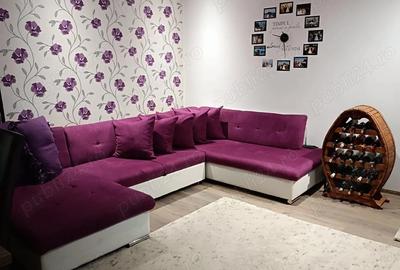 Apartament cu 2 camere semidecomandat în Dumbrăvița - 10