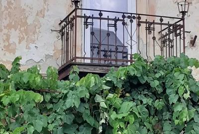 Vand la casa ap.3 cam.Bocsa Montana - 2