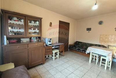 Casă cu 3 camere cu Teren 1418 Mp în Brateiu - 4