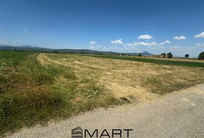 Teren 5000 mp Glajerie, zona Rasnov - 4