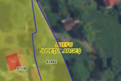 Teren 4996 mp zona de munte Comuna Arefu-Capataneni Arges - 2