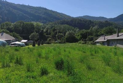 Spațiu comercial, în Straja - 4