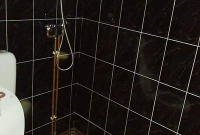 Casă cu 7 camere cu Teren 7553 Mp în Gârda de Sus - 4
