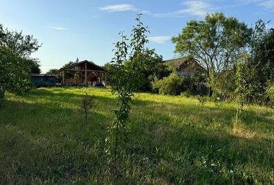 Teren intravilan de vanzare in Tarlungeni - 5
