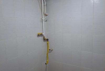 Apartament cu 3 camere decomandat în Cișmigiu - 1