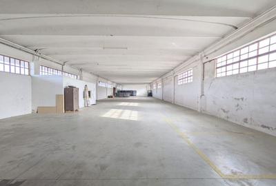 Hala + Platforma betonata - Zona de sud - Comision 0% - 1