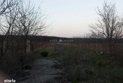 Casă cu 3 camere cu Teren 2350 Mp în Ciolpani - 7