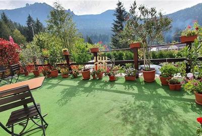 Casa Raluca! - Statiunea Durau! - 2