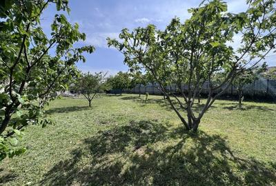 Teren 3500 mp Str Delfinului Foarte Aproape De Lacul Sutghiol - 35