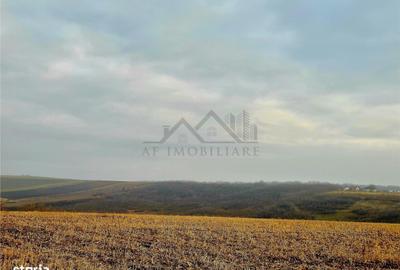 Teren de 861 mp, în Miroslava - 6