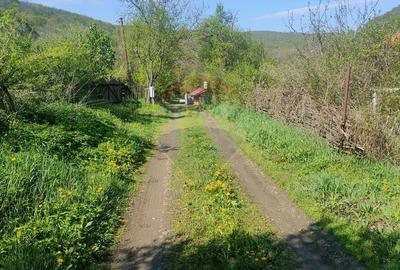 Teren de vis în Stejeriș – utilități, natură, acces rapid! - 6