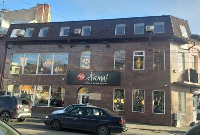 Cladire Vulcanescu / Berzei | Dinicu Golescu | Gara de Nord - 11